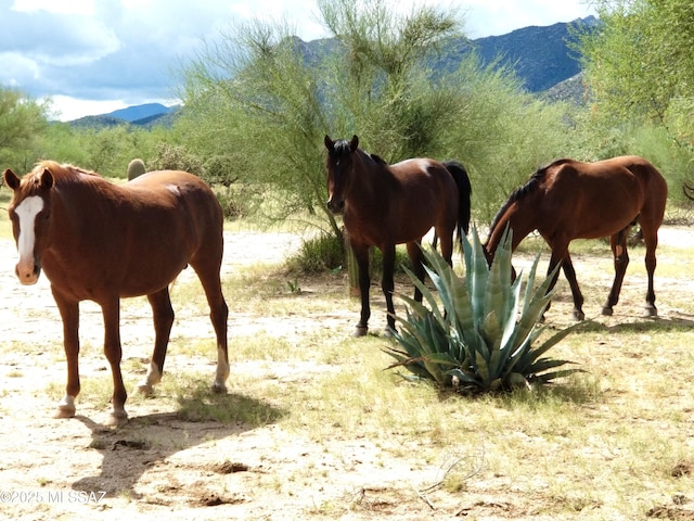 view of stable with a mountain view