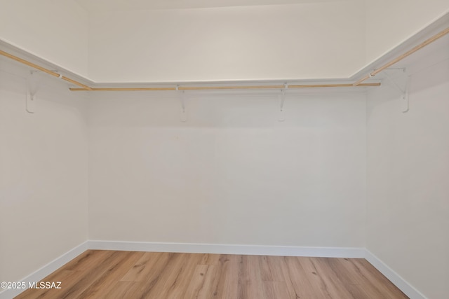 67620 E Lauren Pl, Oracle, AZ 85623 - spacious closet featuring light wood-style flooring