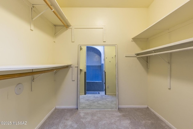 walk in closet featuring carpet flooring