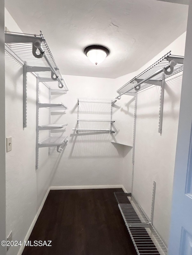 spacious closet with dark wood-type flooring