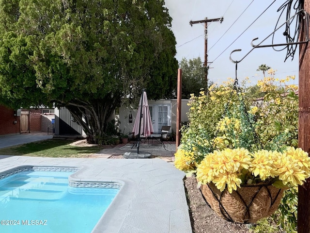 view of pool featuring a patio area and a storage shed