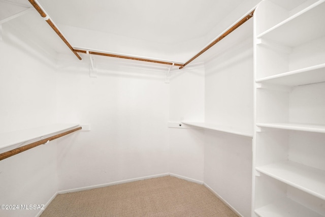 spacious closet with carpet floors