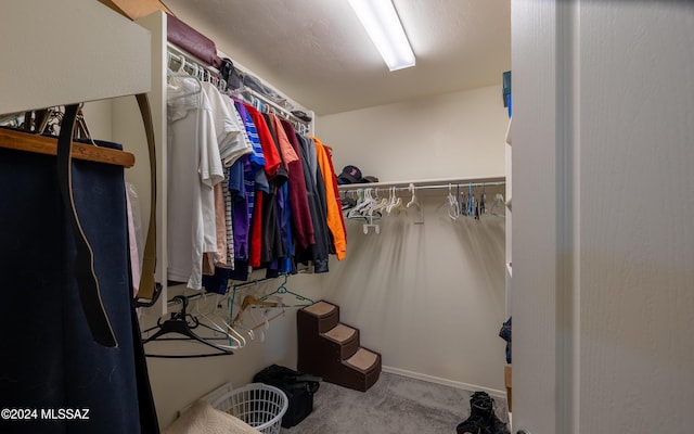 spacious closet with light colored carpet