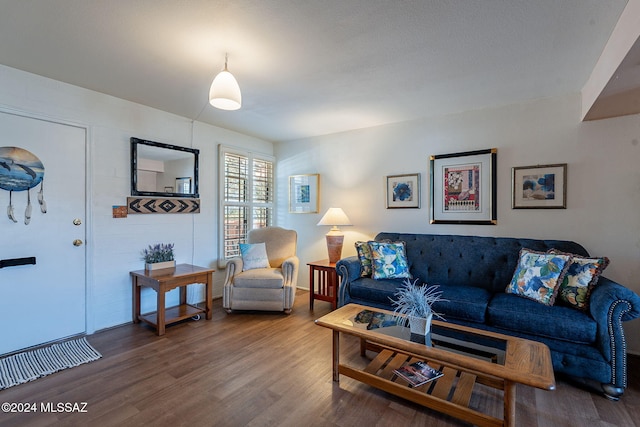 living room featuring hardwood / wood-style floors