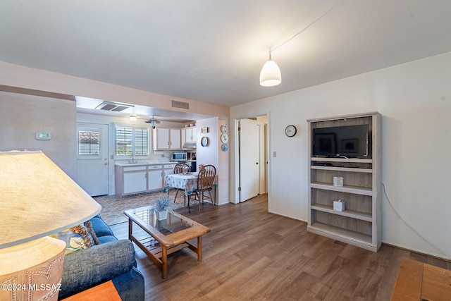 living room featuring sink and wood-type flooring