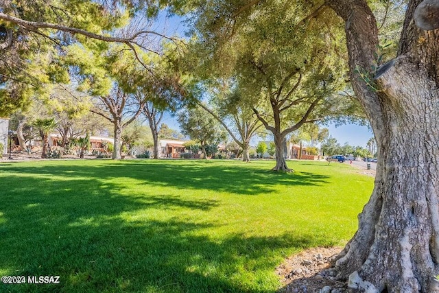 view of property's community with a lawn