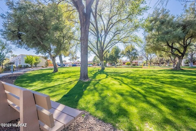 view of home's community with a yard