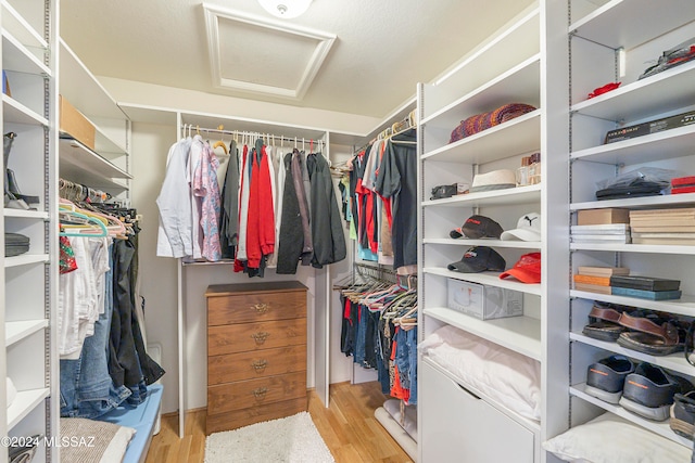 walk in closet with light hardwood / wood-style flooring