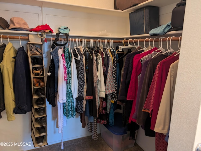 spacious closet with carpet floors