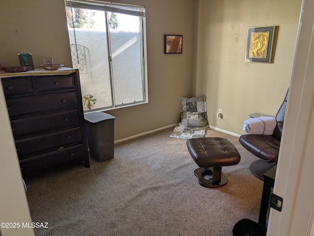 sitting room featuring carpet flooring