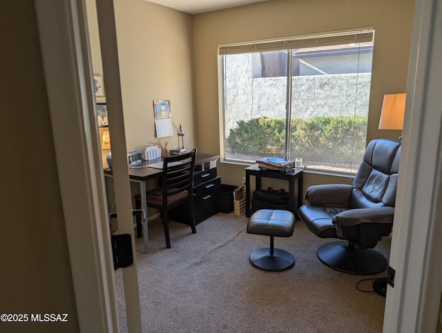 home office featuring carpet