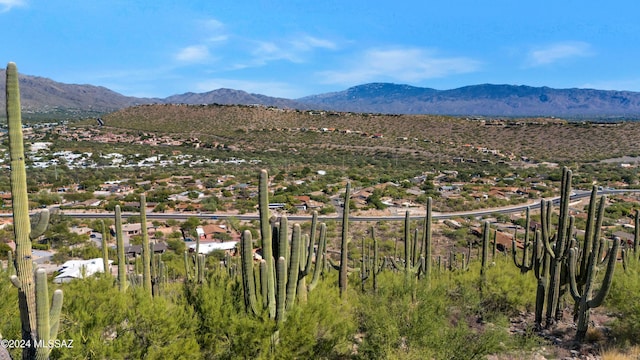 view of mountain feature