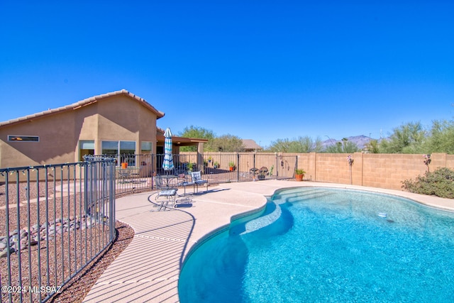 view of swimming pool featuring a patio area