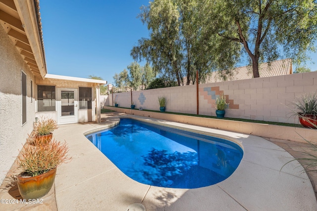 view of swimming pool featuring a patio