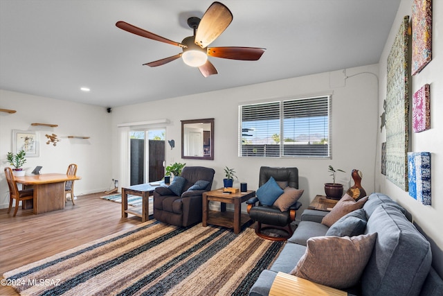 living room with ceiling fan and light wood-type flooring