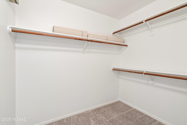 spacious closet with carpet floors