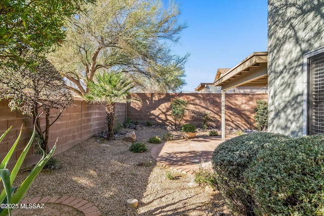 view of yard featuring a patio area