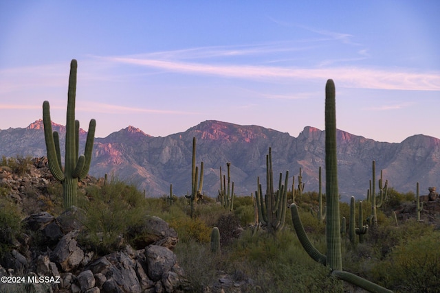 1535 W Tortolita Mountain Cir, Oro Valley AZ, 85755 land for sale