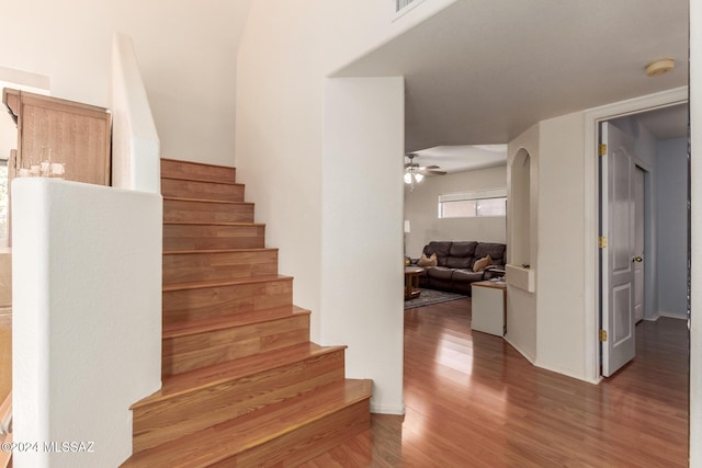 staircase featuring ceiling fan and wood-type flooring