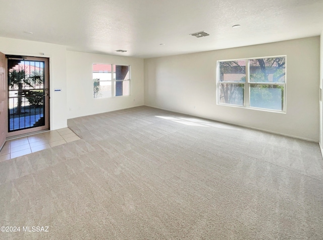 spare room featuring plenty of natural light, light colored carpet, and a textured ceiling