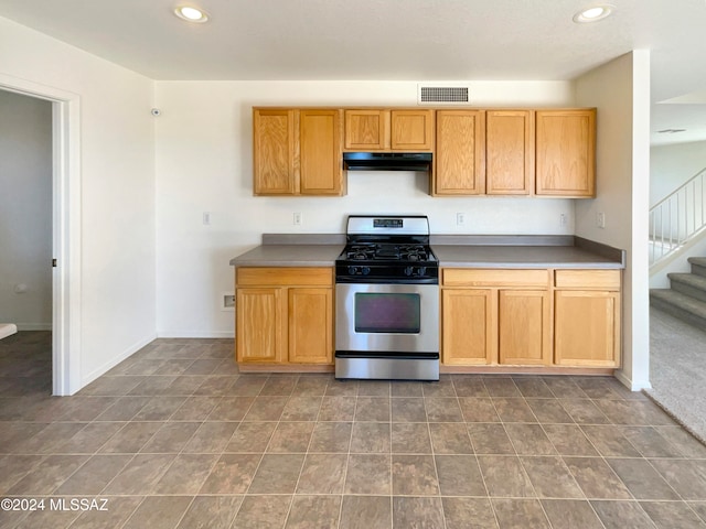 kitchen featuring stainless steel gas range oven