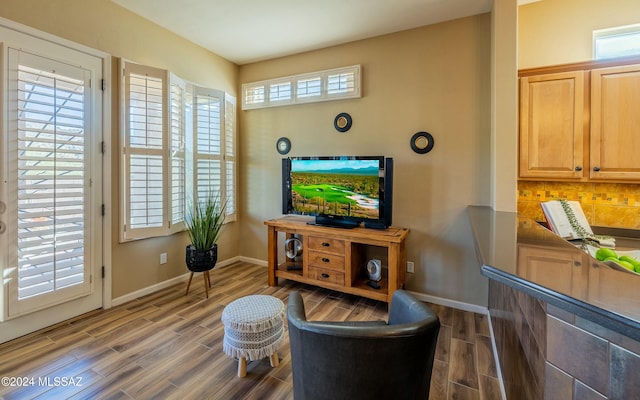 living area featuring hardwood / wood-style flooring and a healthy amount of sunlight