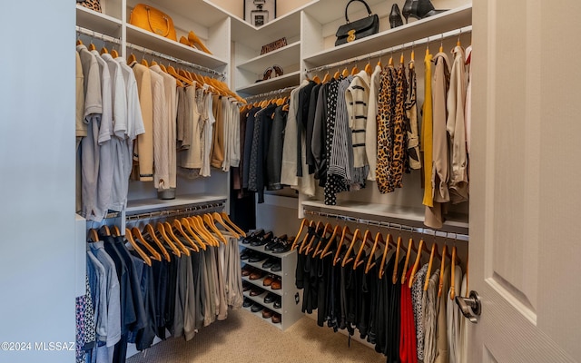 spacious closet featuring carpet floors