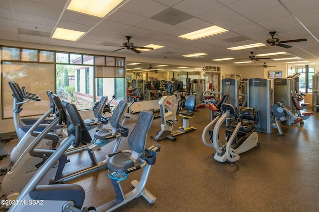 exercise room featuring ceiling fan and a drop ceiling