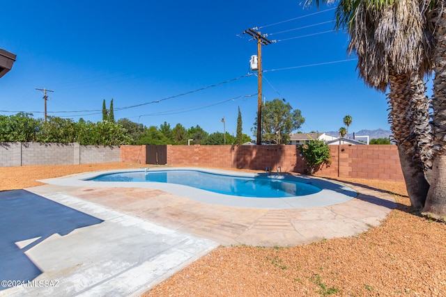 view of swimming pool with a patio area