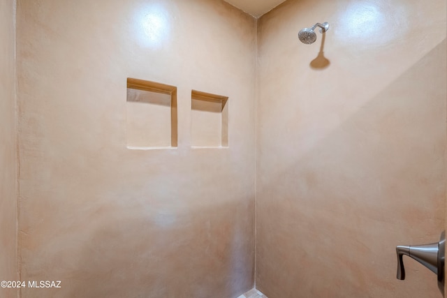 interior space with walk in shower