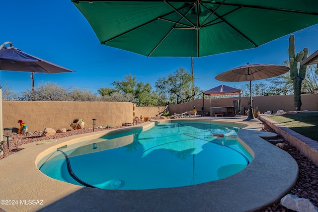 view of swimming pool