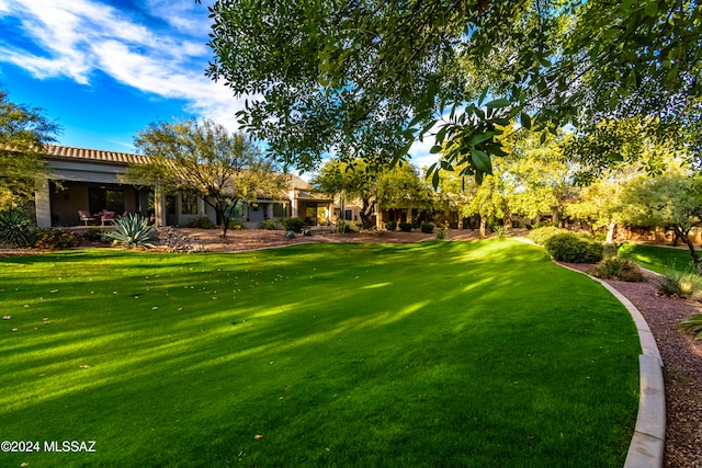 view of yard