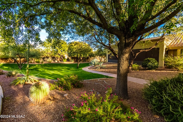 view of community featuring a yard