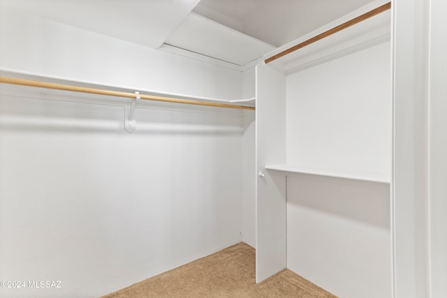 walk in closet with carpet floors