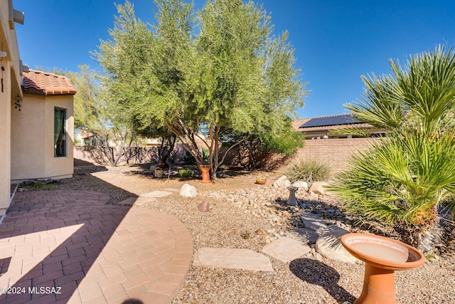 view of yard with a patio