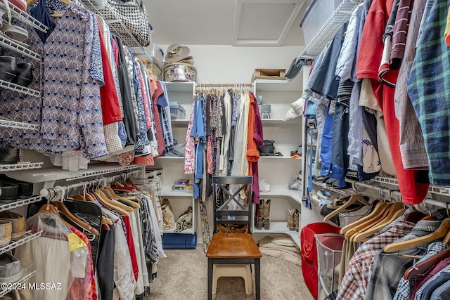 spacious closet featuring carpet flooring