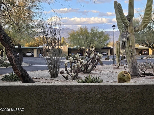 view of front of home featuring a mountain view and a carport