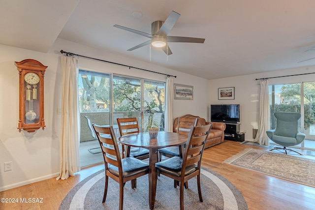 dining space with ceiling fan, light wood-type flooring, and a wealth of natural light