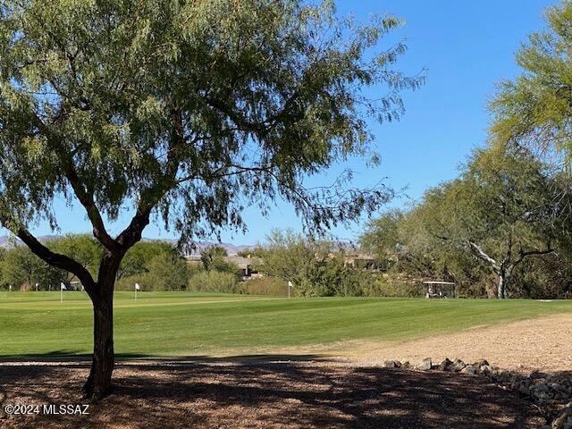 view of property's community featuring a yard