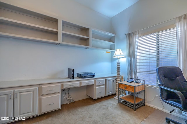 home office featuring light colored carpet