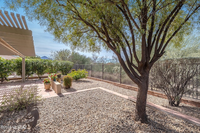 view of yard featuring a patio area