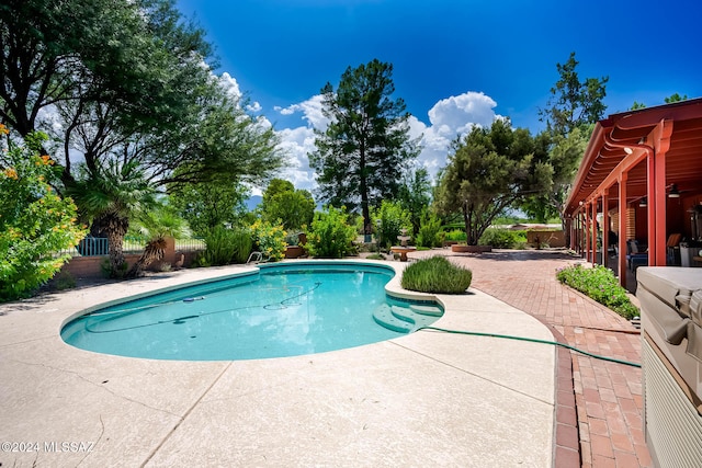 view of swimming pool featuring a patio