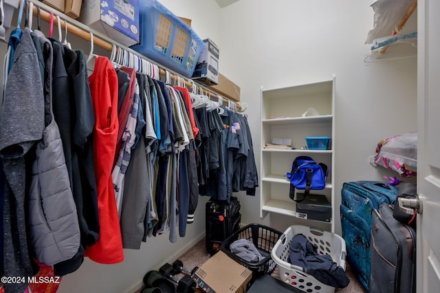 walk in closet with carpet