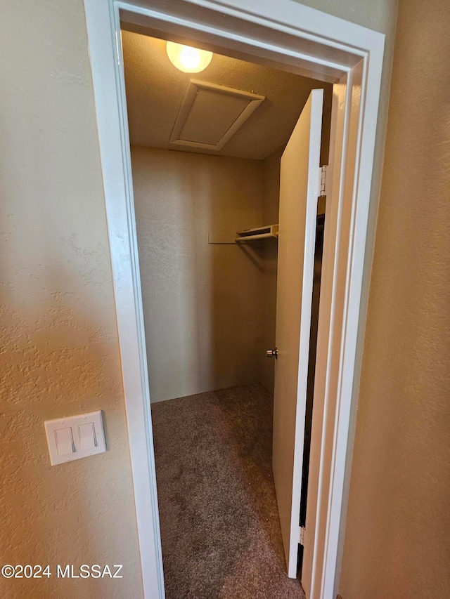 walk in closet featuring carpet flooring