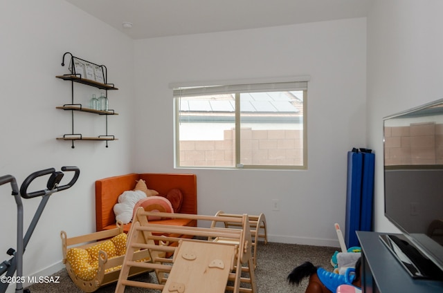 bedroom featuring carpet