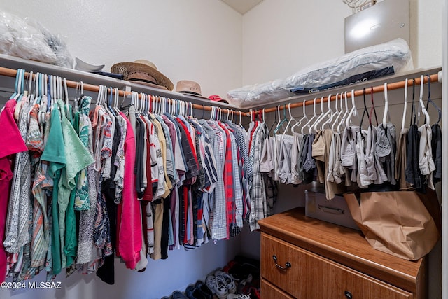 view of walk in closet