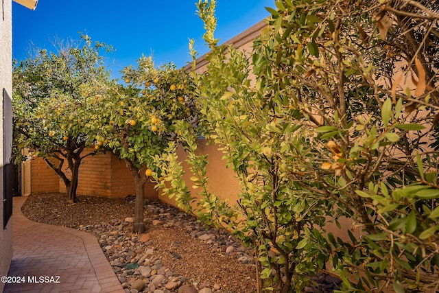 view of yard with a patio area