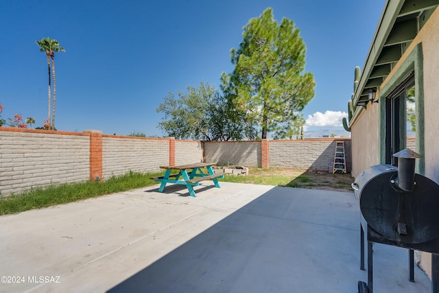 view of patio / terrace with a grill