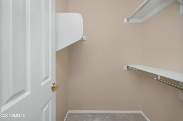 spacious closet with carpet floors