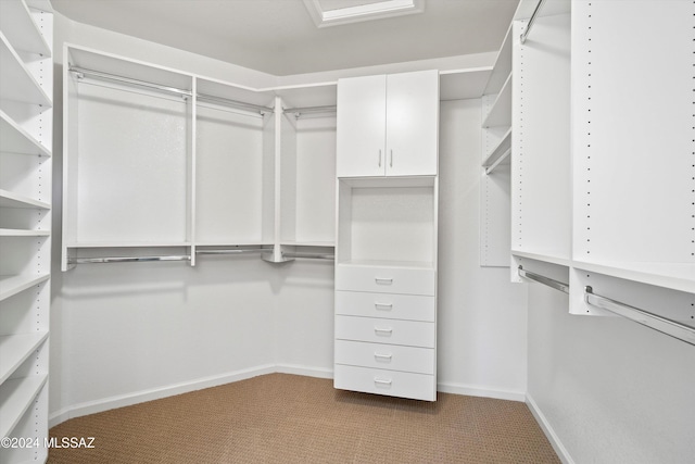 spacious closet with carpet floors